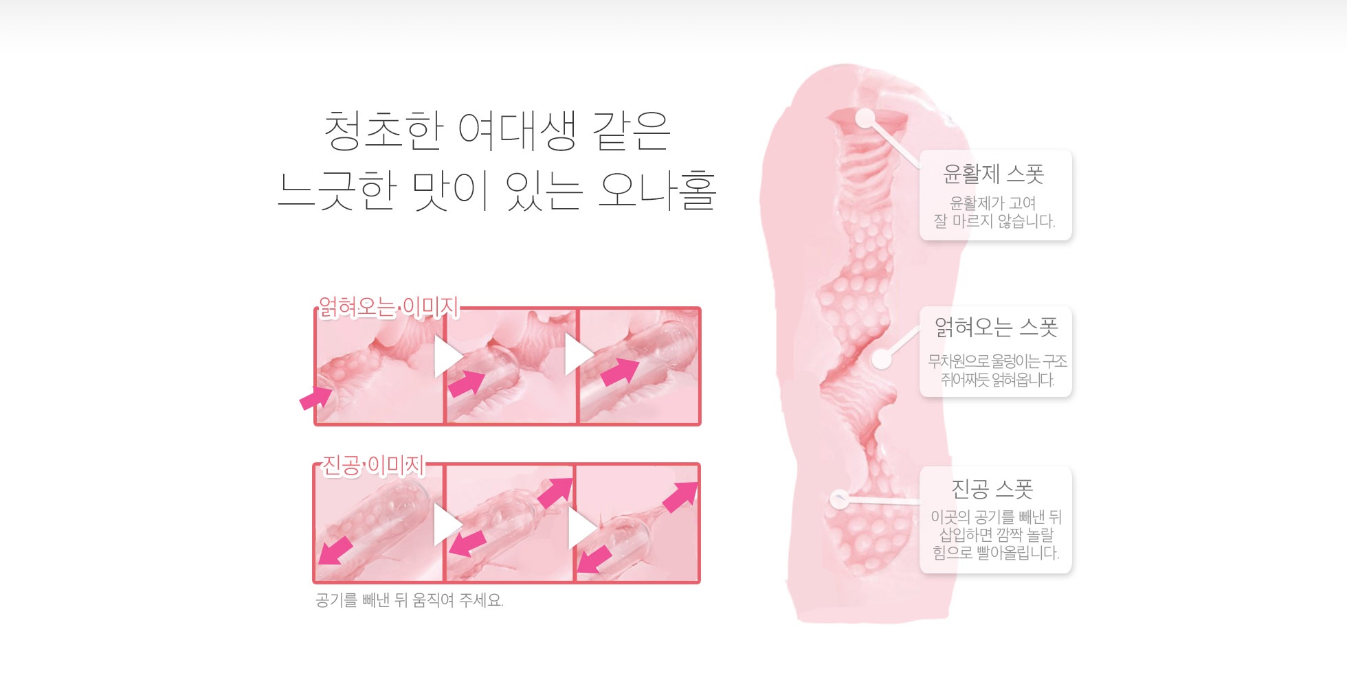 캠퍼스 라이프 청순소녀 설명