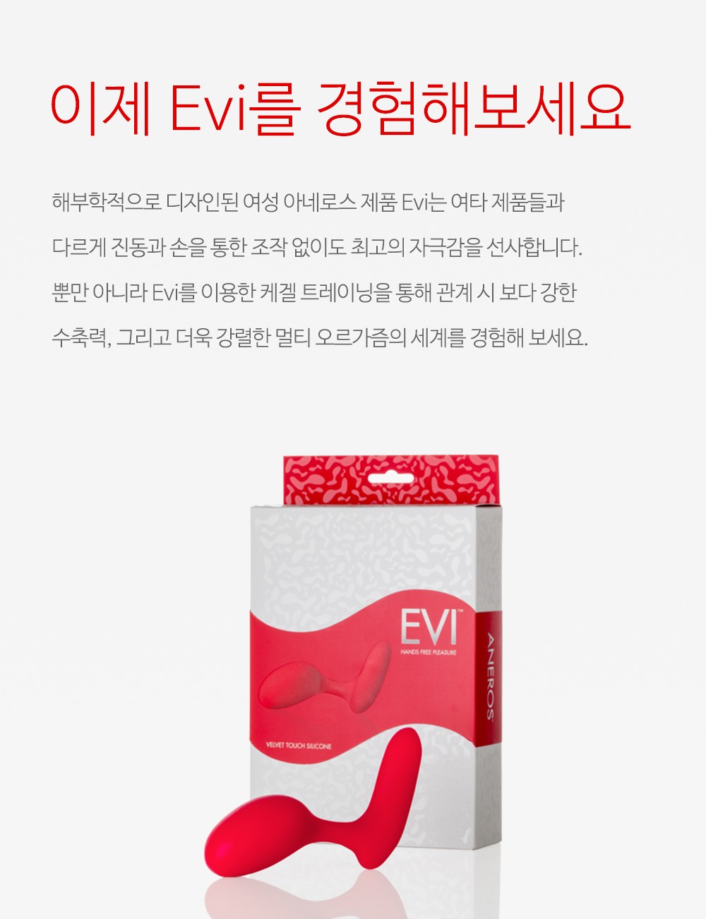 이비 설명