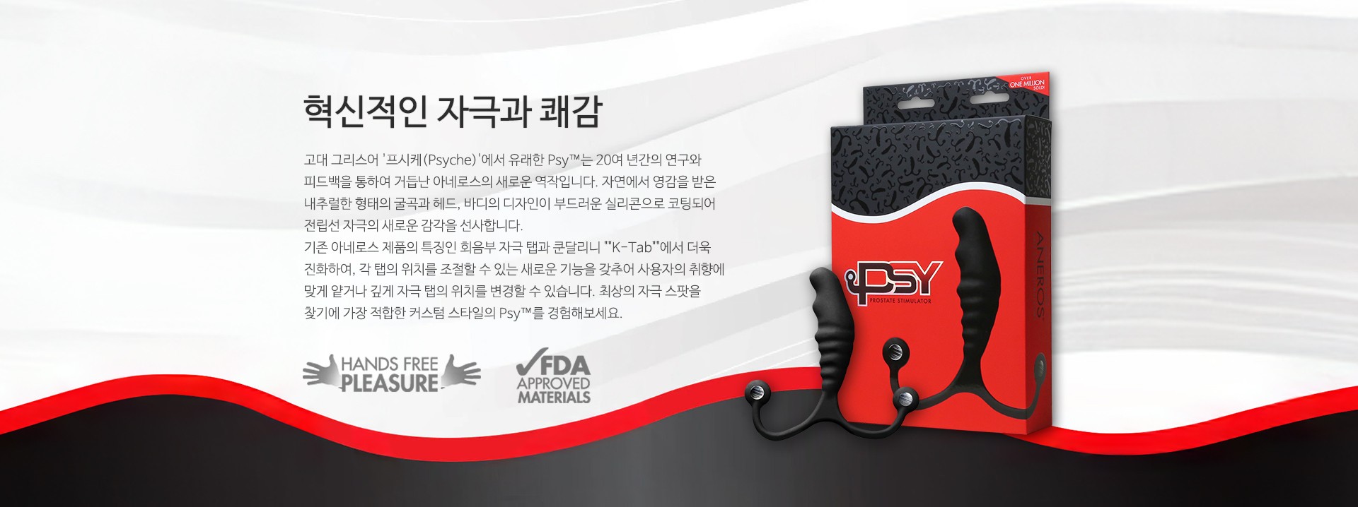 PSY 싸이 설명