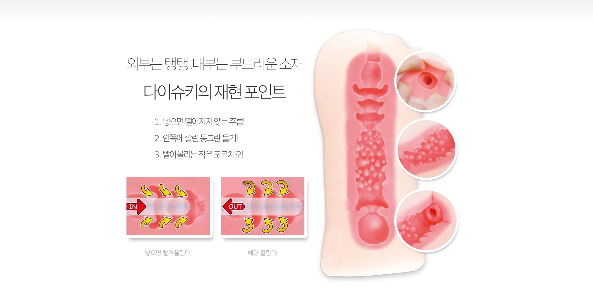 다이슈키 홀드 설명