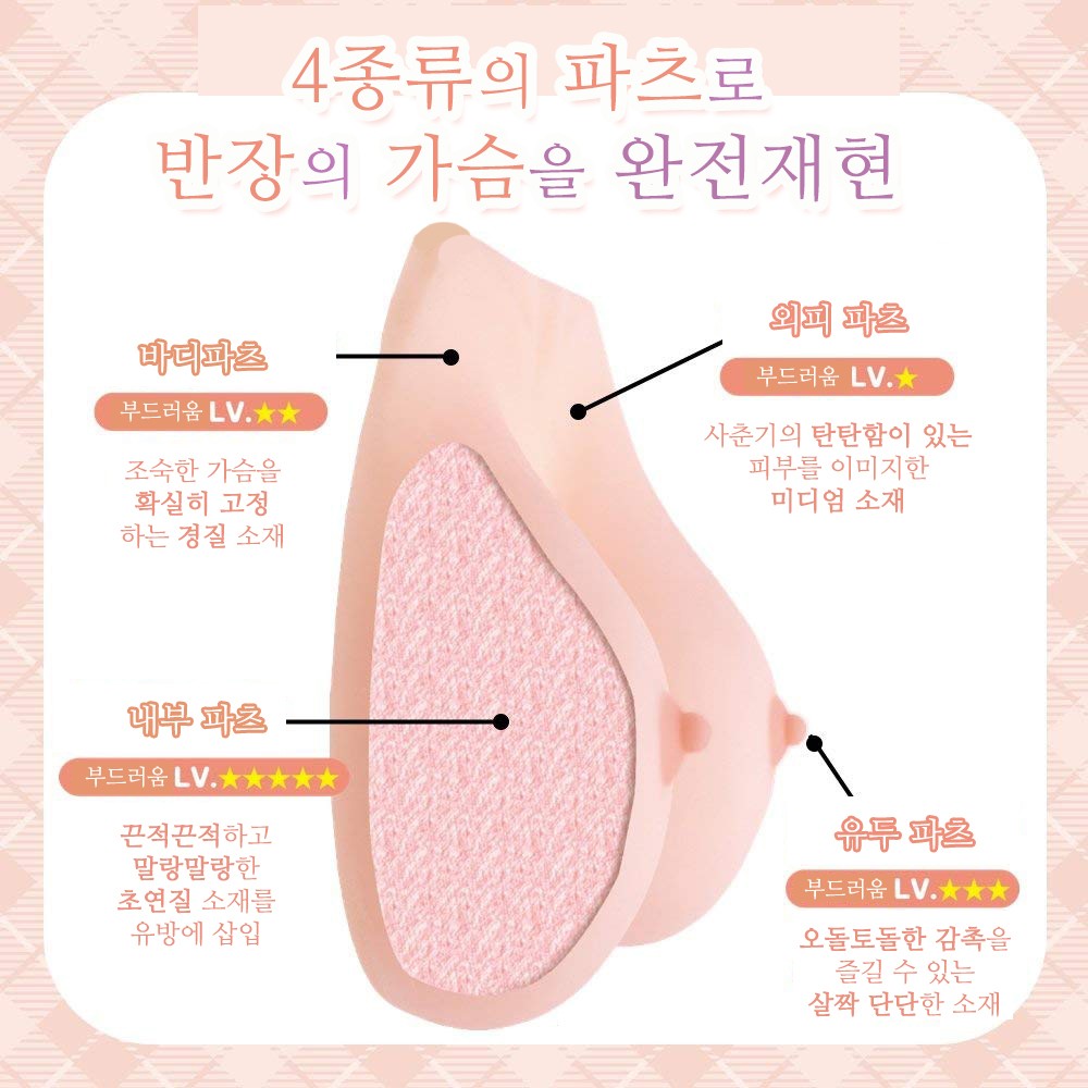 반장의 조숙한 가슴 설명