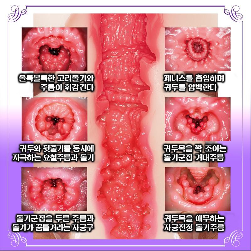 신 숙녀의 별 진구지 나오 설명