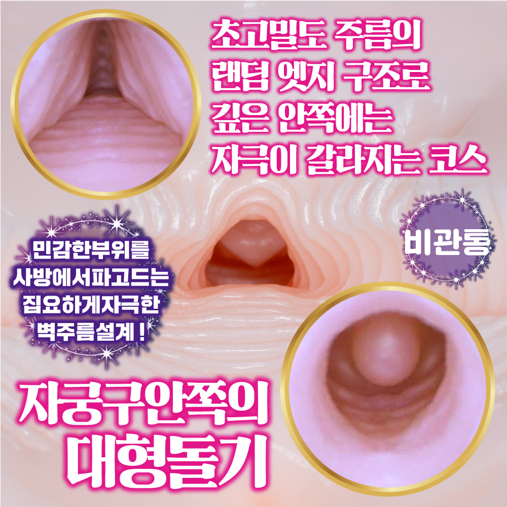 유혹엘프의 벽주름질미궁 설명