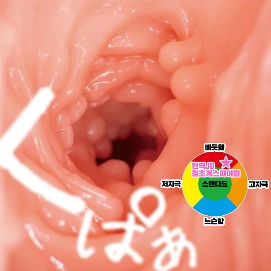 현역 여대생 청초계 스파이럴 설명