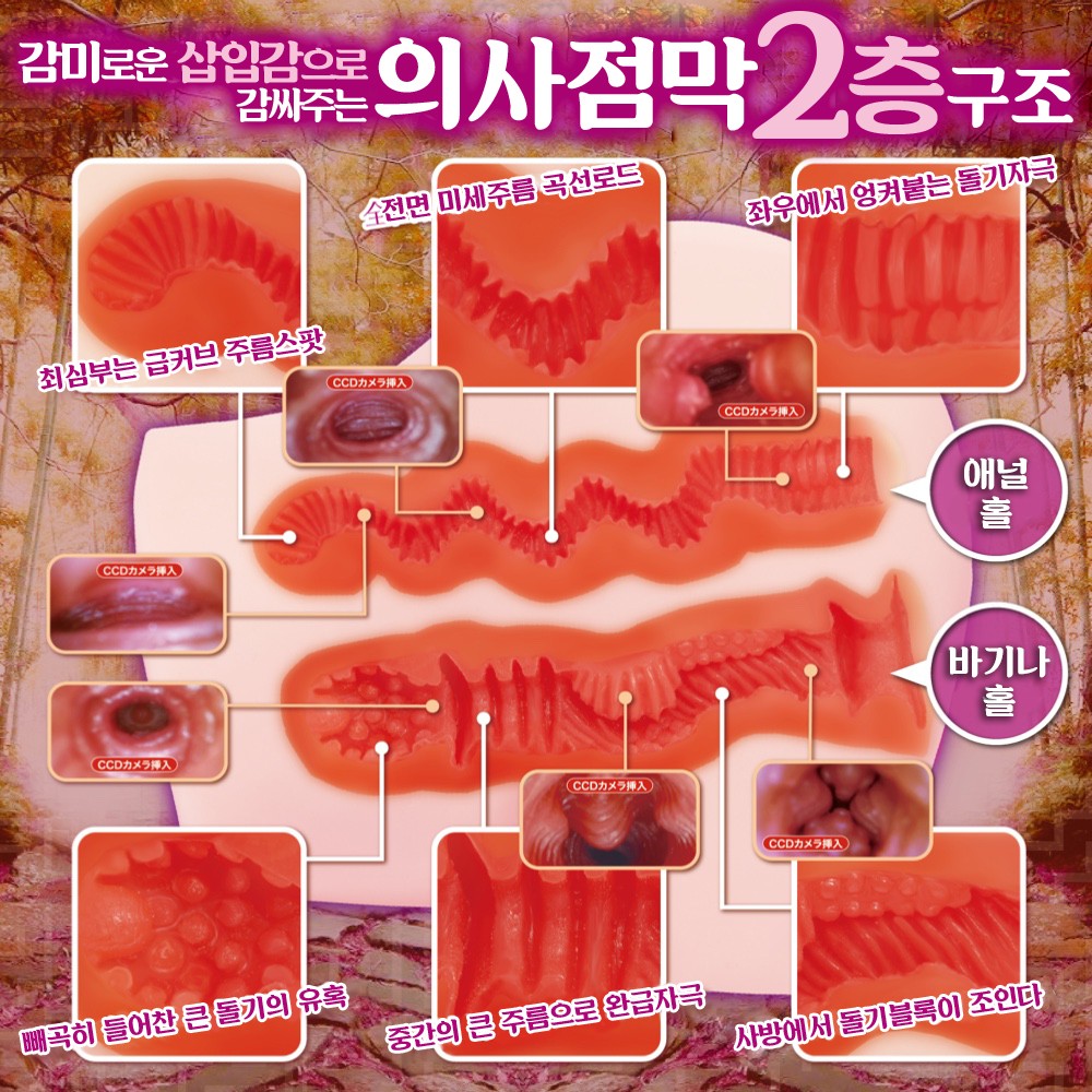 유혹 라비린스 소프트 설명