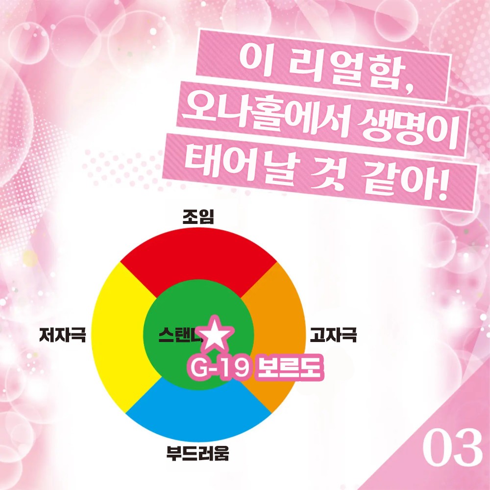G-19 보르도 설명