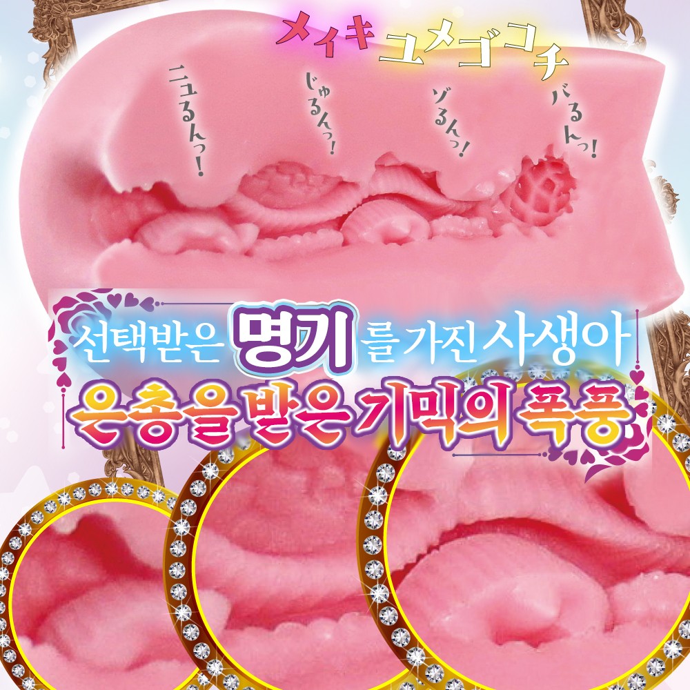 치츠노 오토시고 설명
