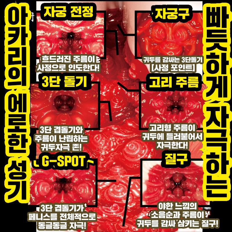 신 명기의 증명 2 미타니 아카리 설명