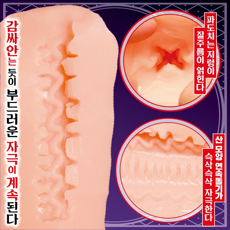 세이카여학원 공인 남창아저씨 루이자 리히터 초회한정판 설명