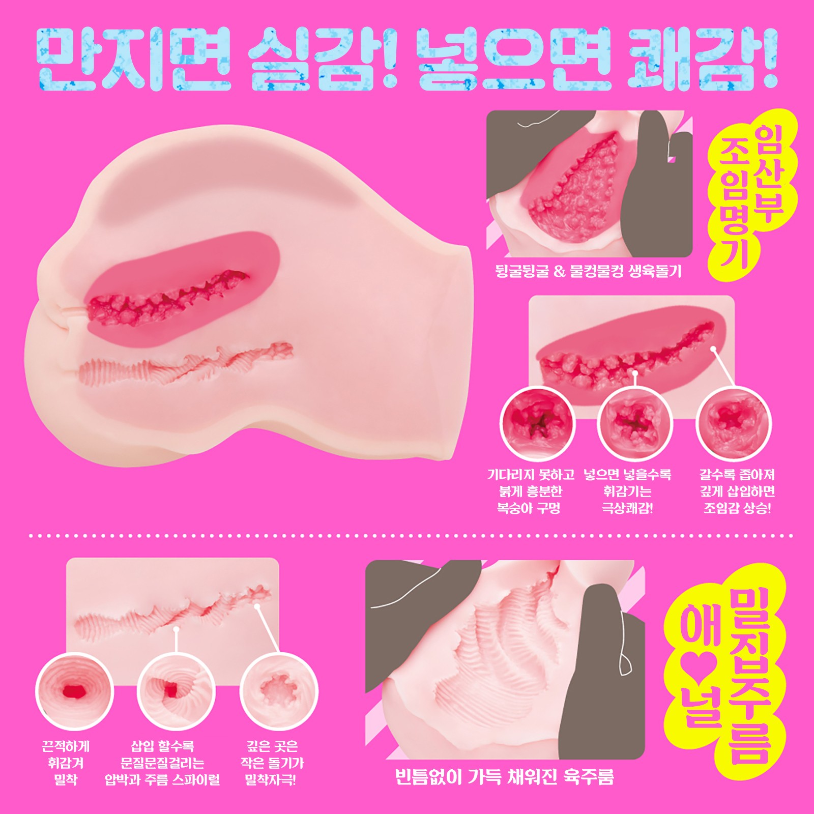 보테바라 DX 설명