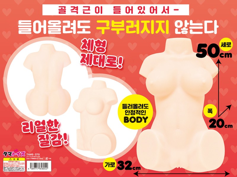 퍼펙트 바디 DX 설명