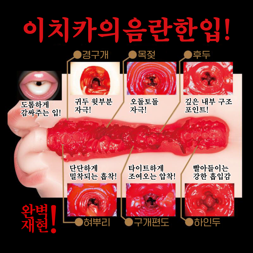 격펠라 에로카와음란입 마츠모토 이치카 설명
