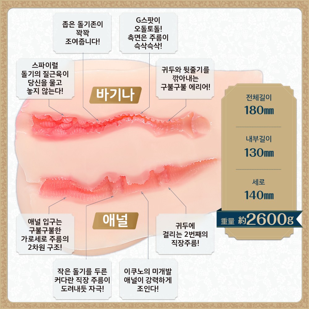 나기사 이쿠노의 리얼리티 버진 2 설명