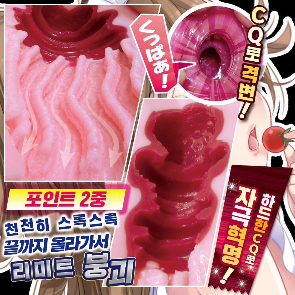 격변 슬로우 레볼루션 설명