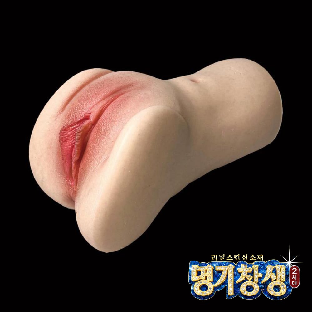 명기창생2 타나카 레몬 설명