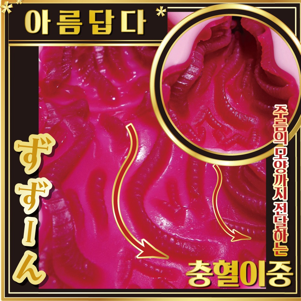 츠바키 - 동백꽃 설명