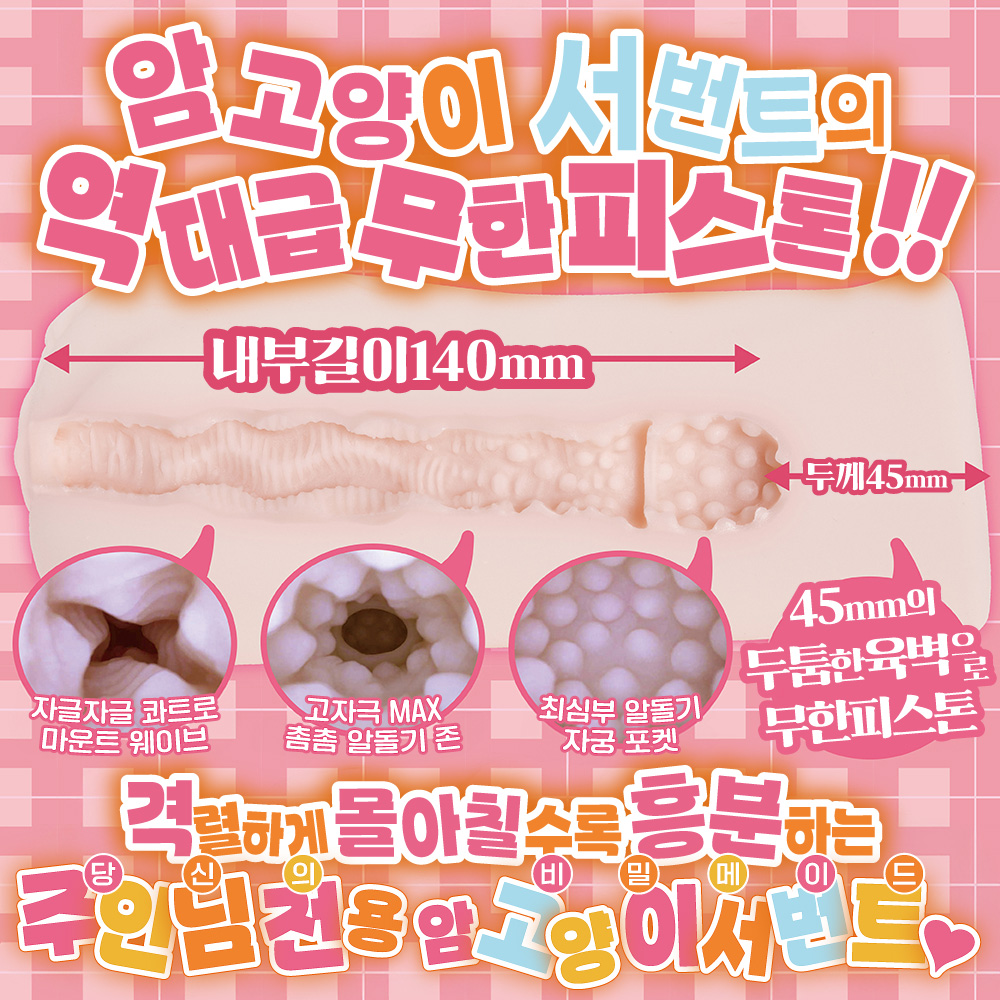 암고양이 서번트 설명