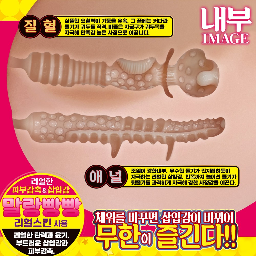 궁극여체절경 설명
