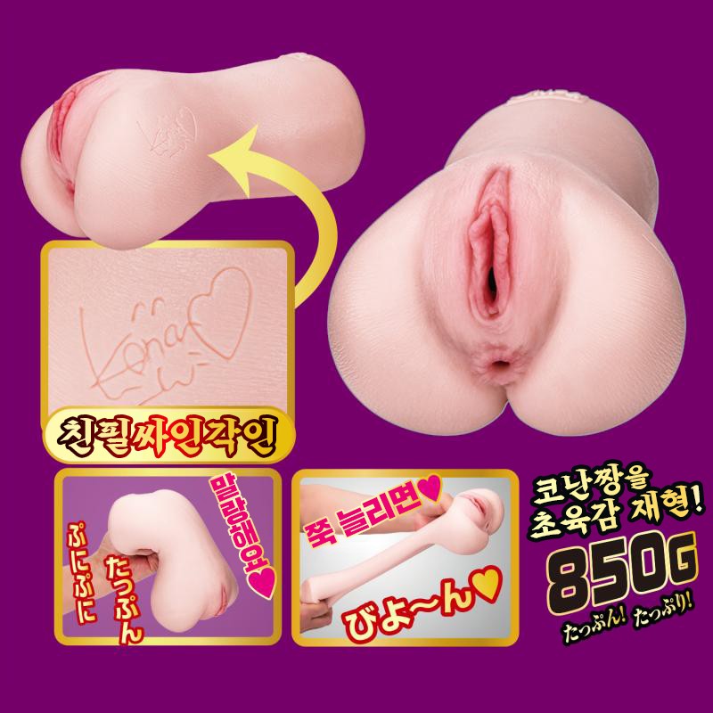 명기의 증명 14 코요이 코난 설명