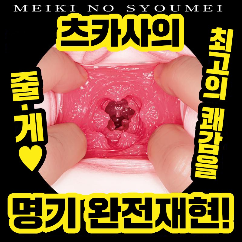 신 명기의 증명 3 아오이 츠카사 설명