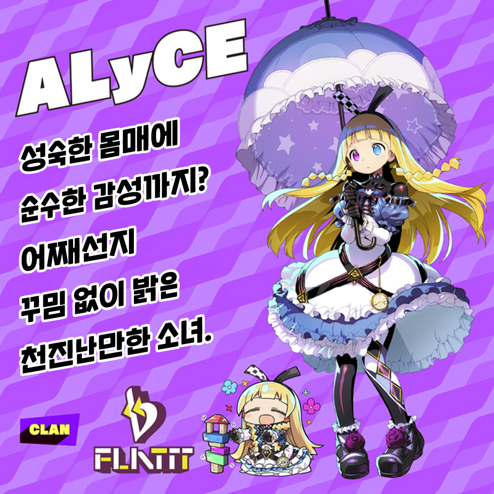도나도나 - ALyCE THE HOLE 프리미엄 수량한정판 설명