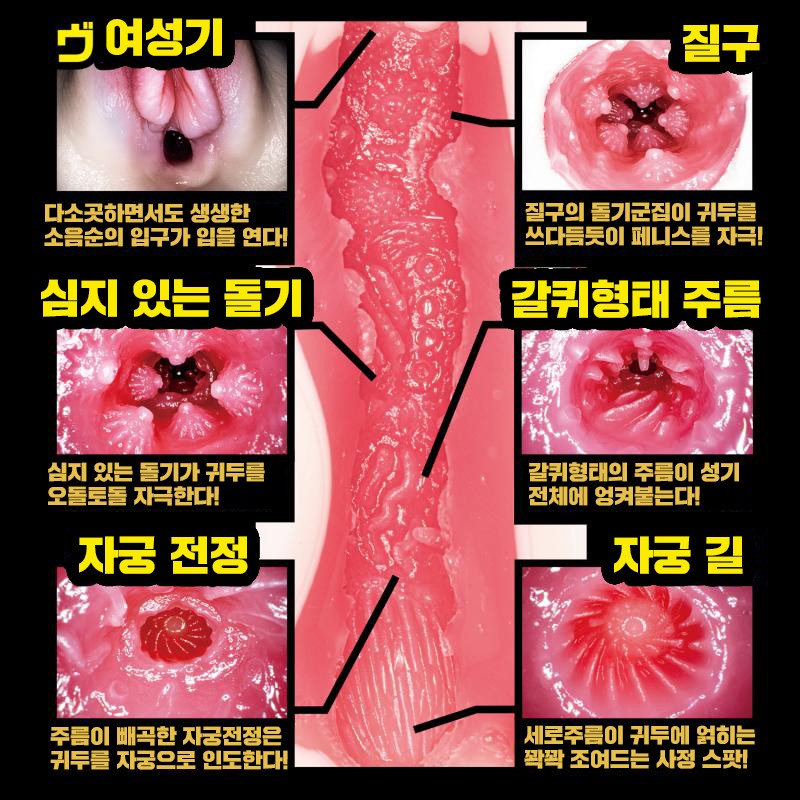 신 명기의 증명 3 아오이 츠카사 설명