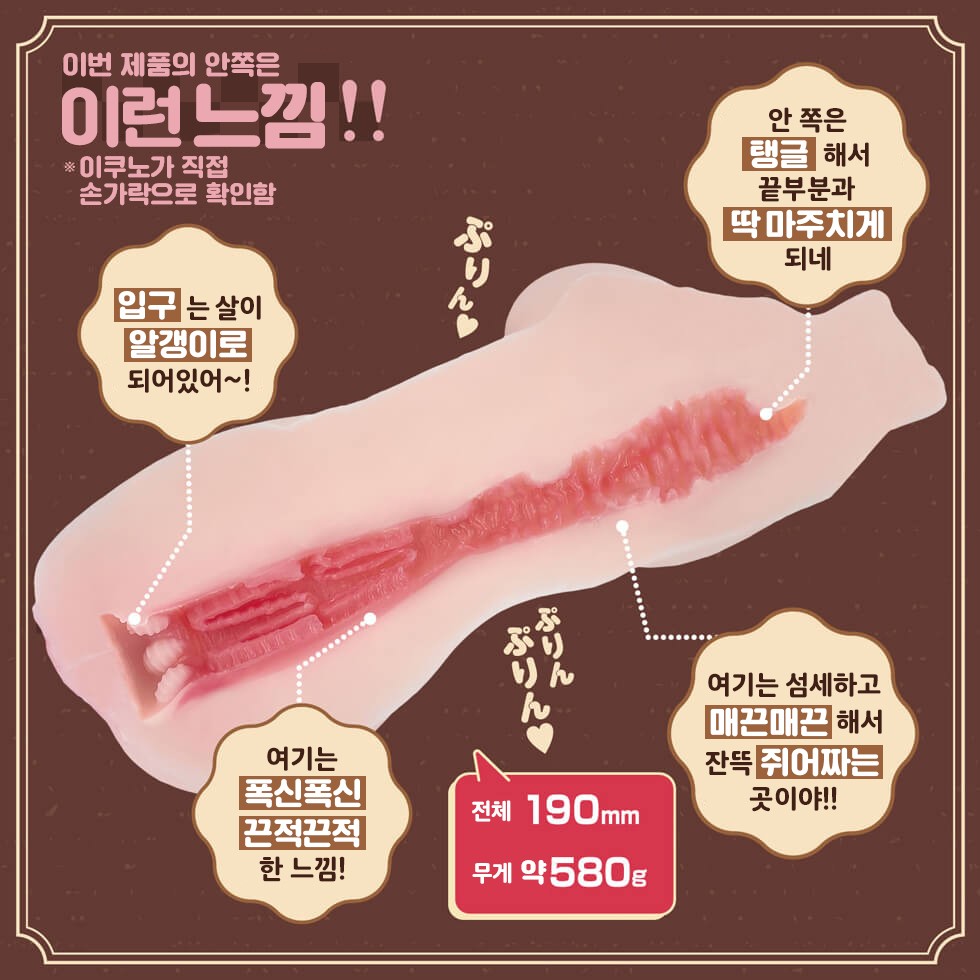 나기사 이쿠노의 오나홀 돌체 설명
