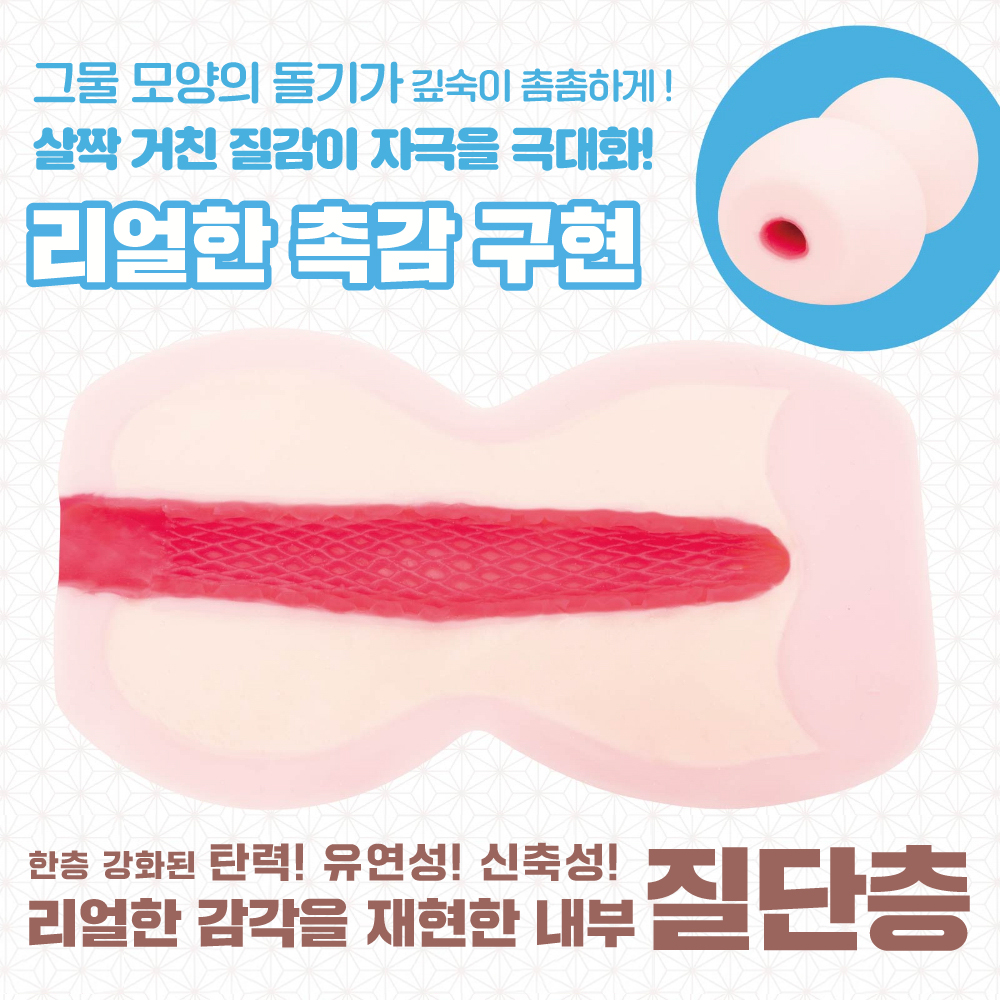 미타라시 질 단층 그물망 설명