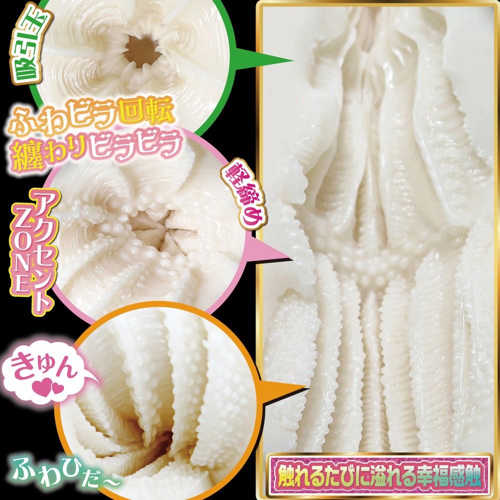 황금 치츠 칼라미티 소프트 설명