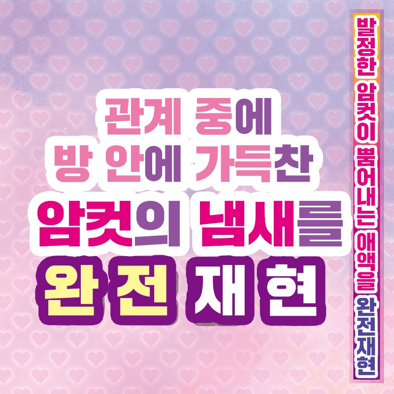 발정한 암컷의 애액 윤활제 500ml 설명