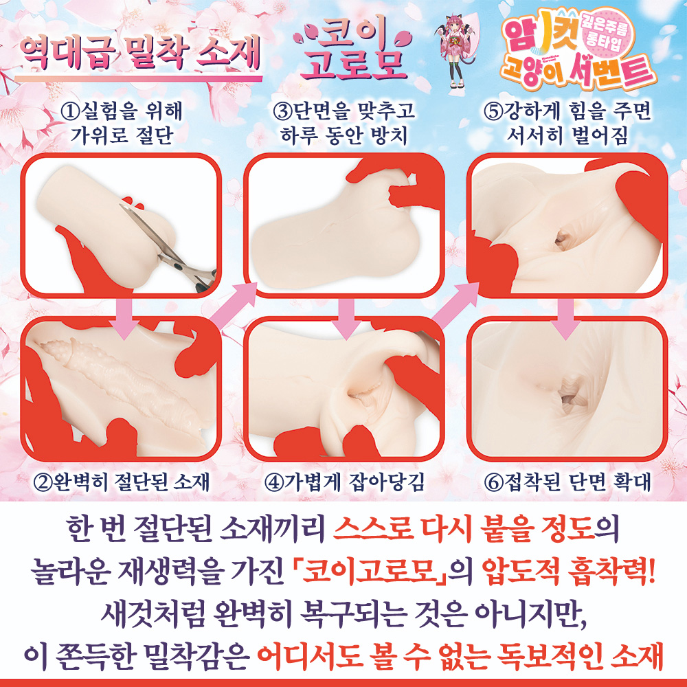 암고양이 서번트 설명