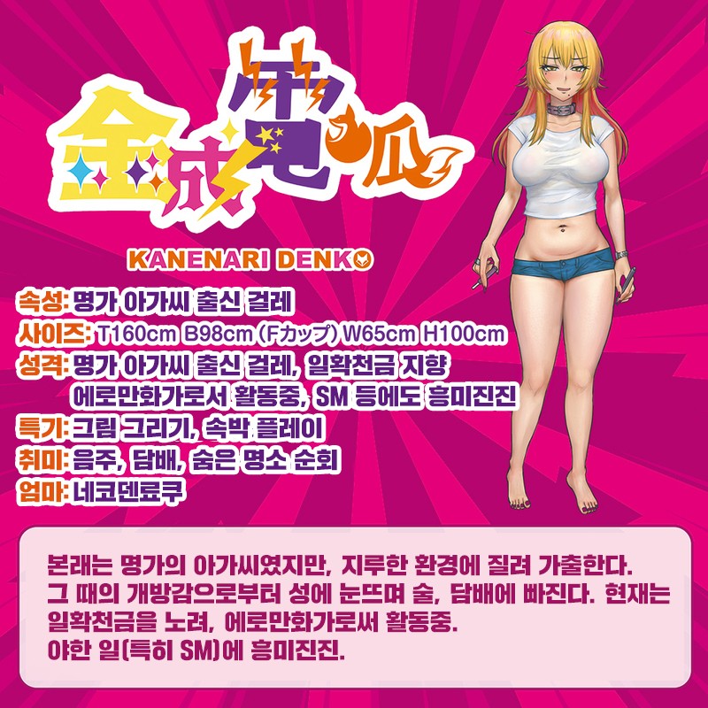 덴코 더 홀 수량한정판 설명