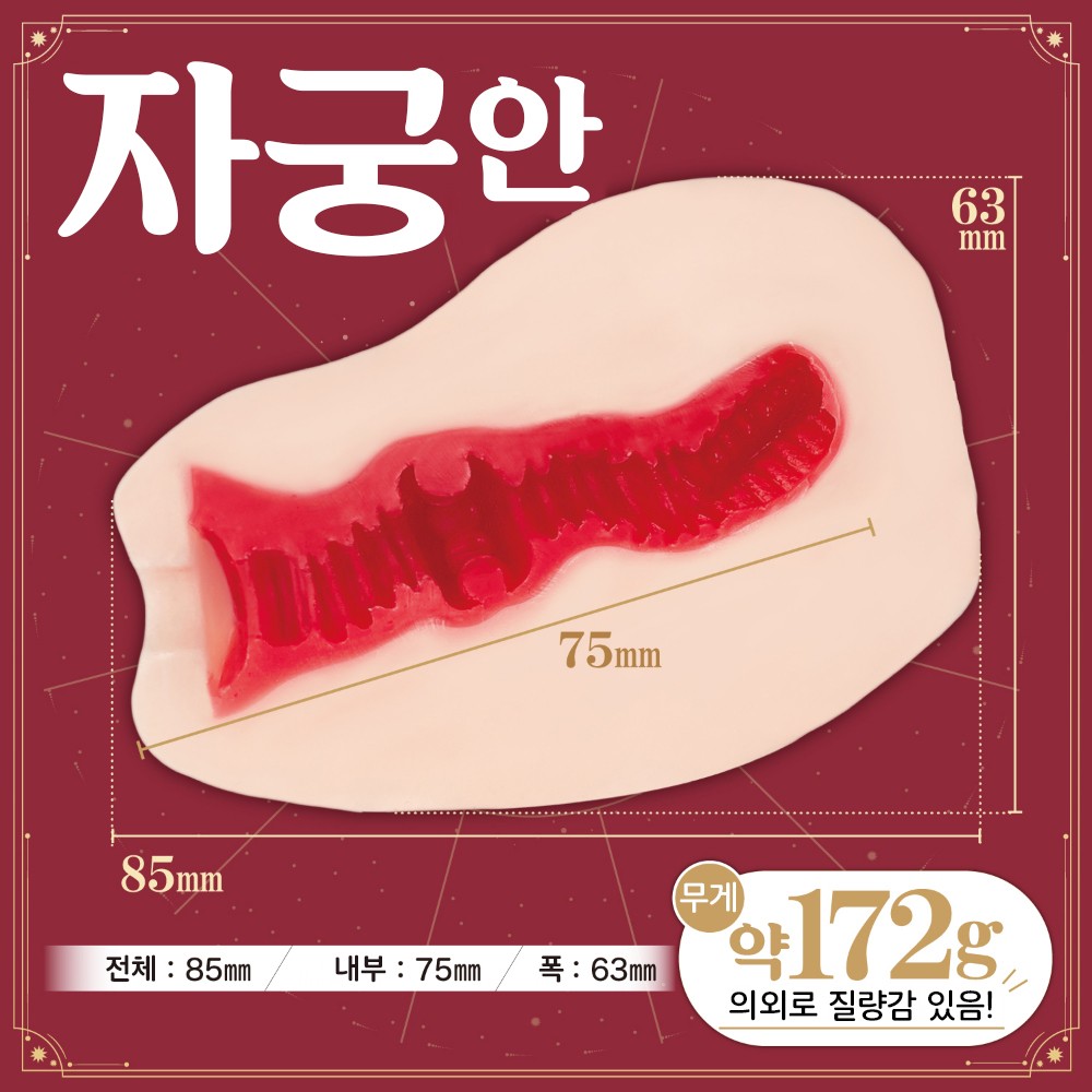 나기사 이쿠노의 자궁 설명
