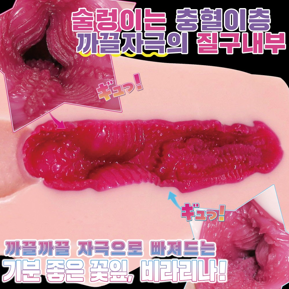 롱 비라리나 설명