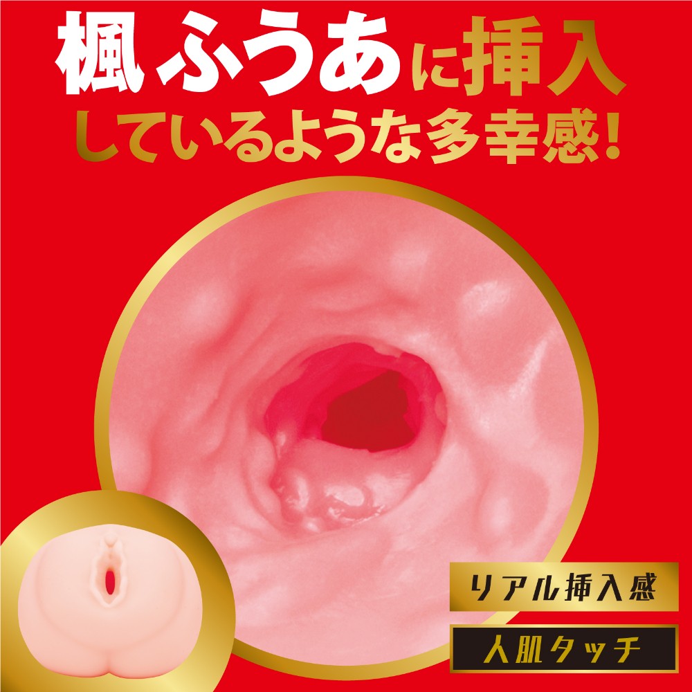 JAPANESE REAL HOLE 격 카에데 후아 설명