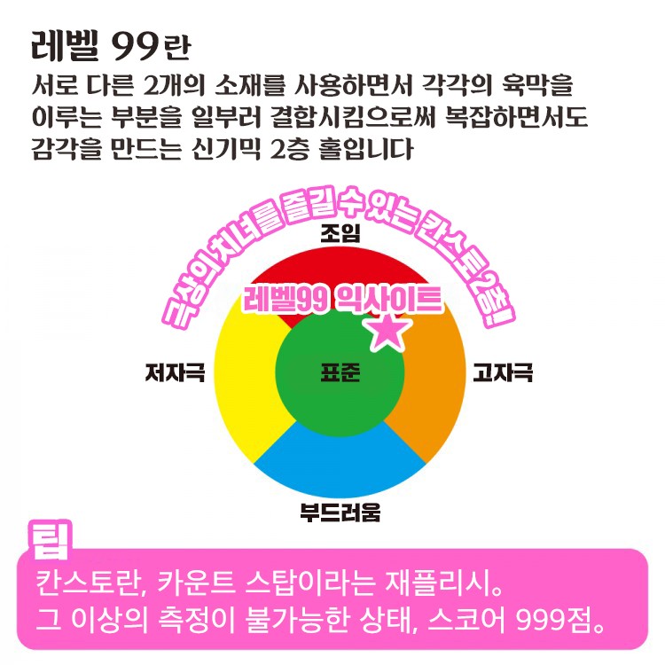 레벨 99 익사이트 설명