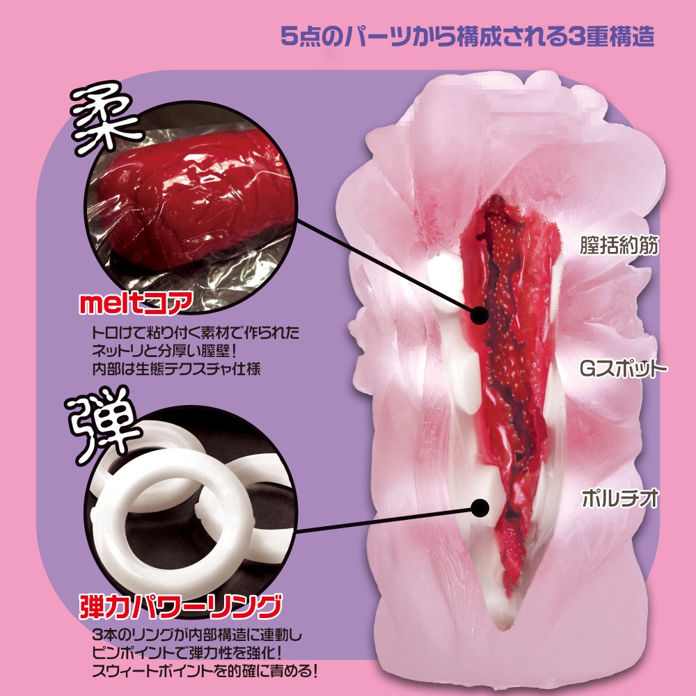 욕정기믹 각성 소프트 에디션 설명