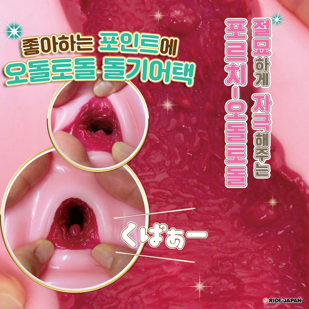 빅 바운즈 포르니스타 설명