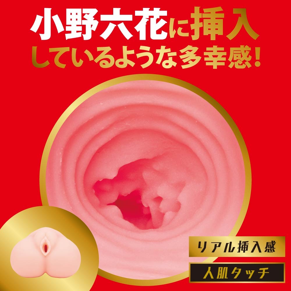 JAPANESE REAL HOLE 격 오노 릿카 설명