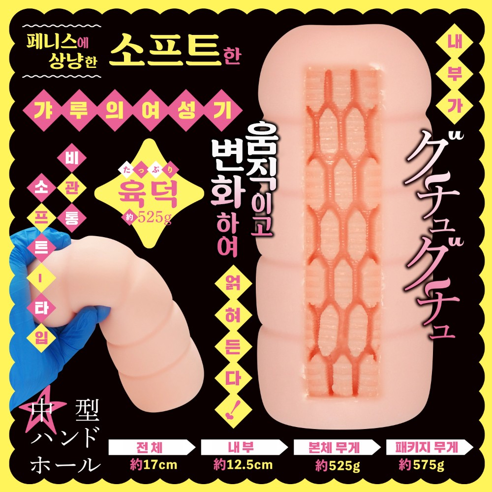 갸루와 보건체육 듬뿍 벼락치기 설명