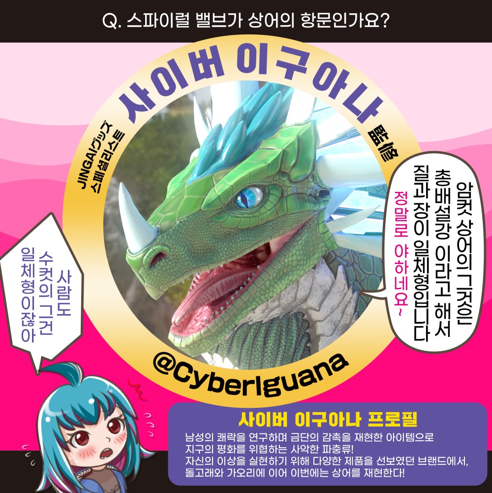상어의 나선 쥐어짜는 하드 설명