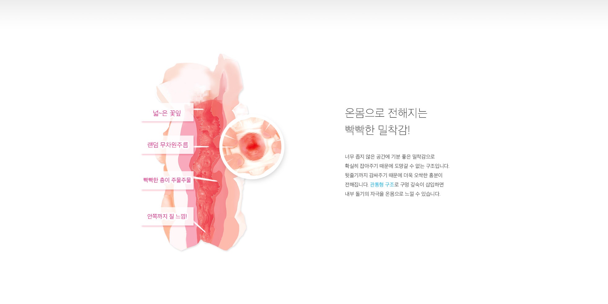 치츠니쿠 푸니푸니 -3중 구조 설명
