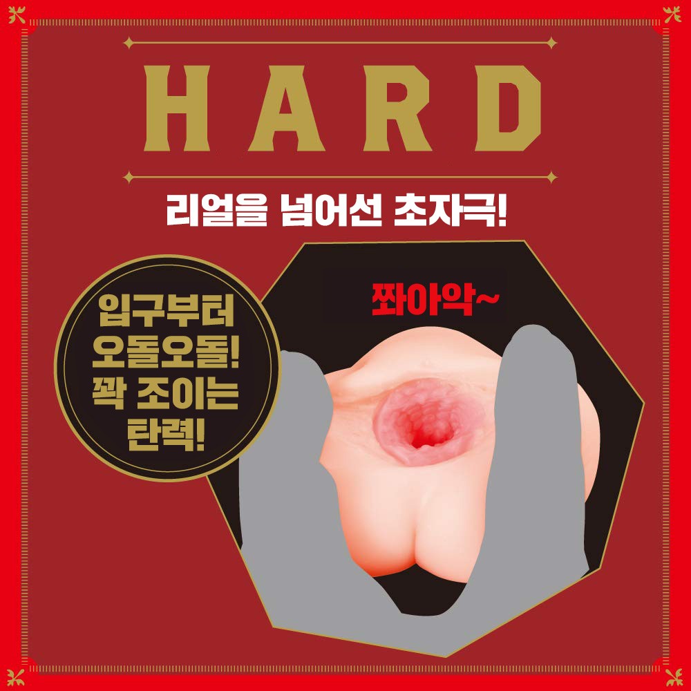 newnew 설명