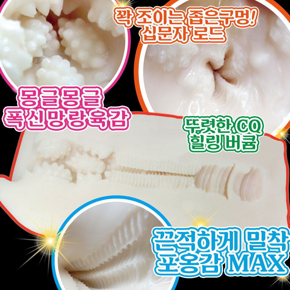 폭신살집 롱 천하유혈 설명