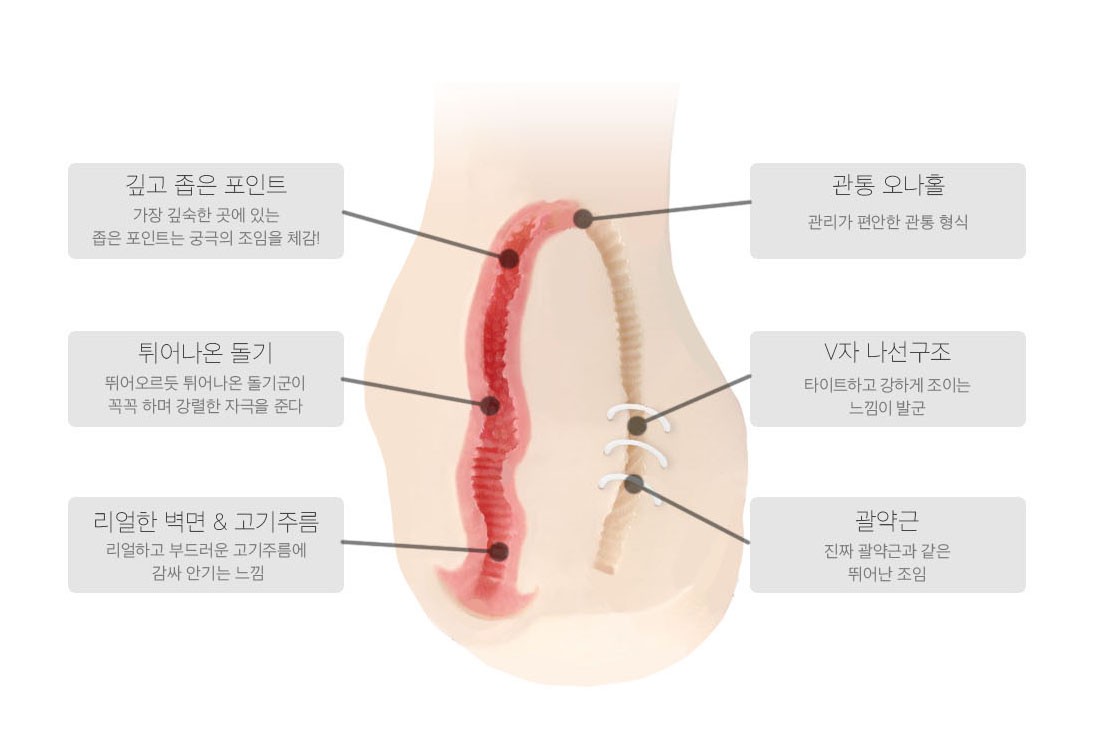 두근두근 망상 리얼리티 세븐 겉보다 더욱 리얼한
내부 구조!