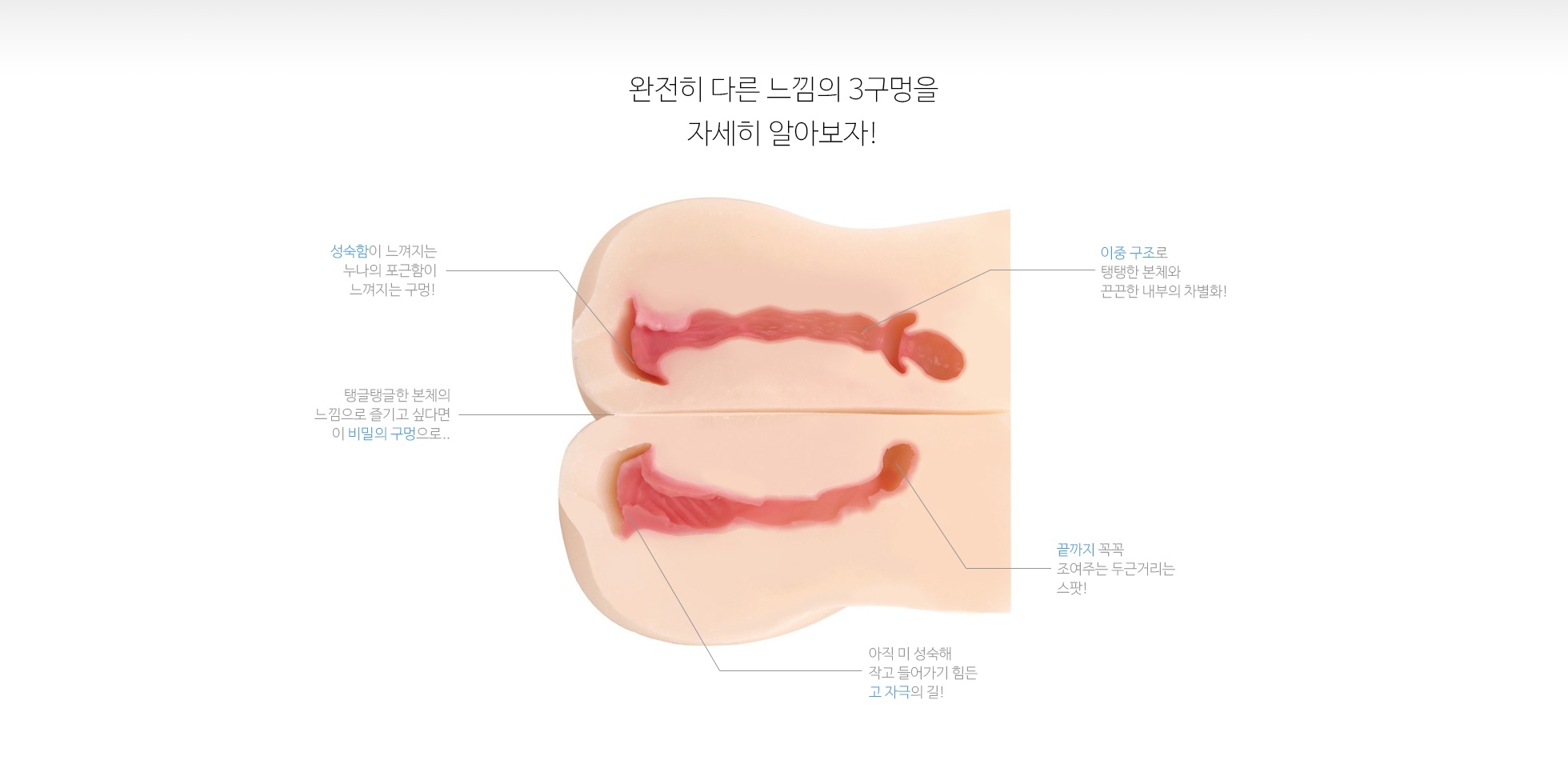 자매덮밥 설명