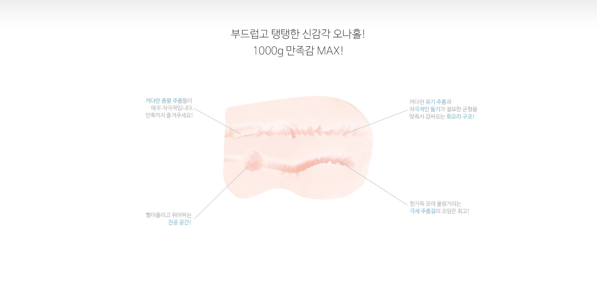 뿌니후와 모찌 설명