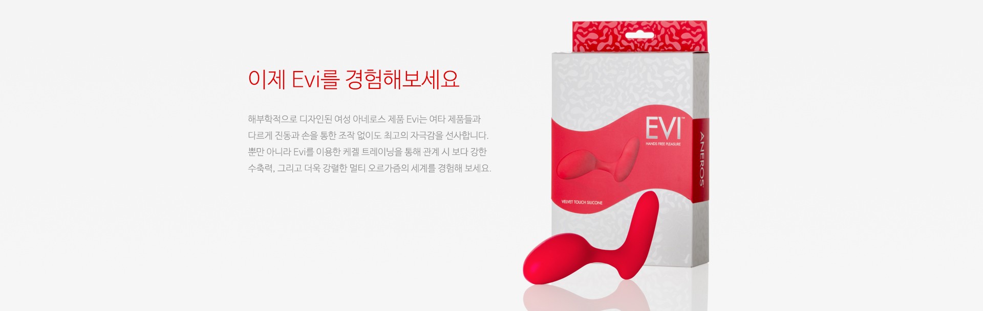 이비 설명