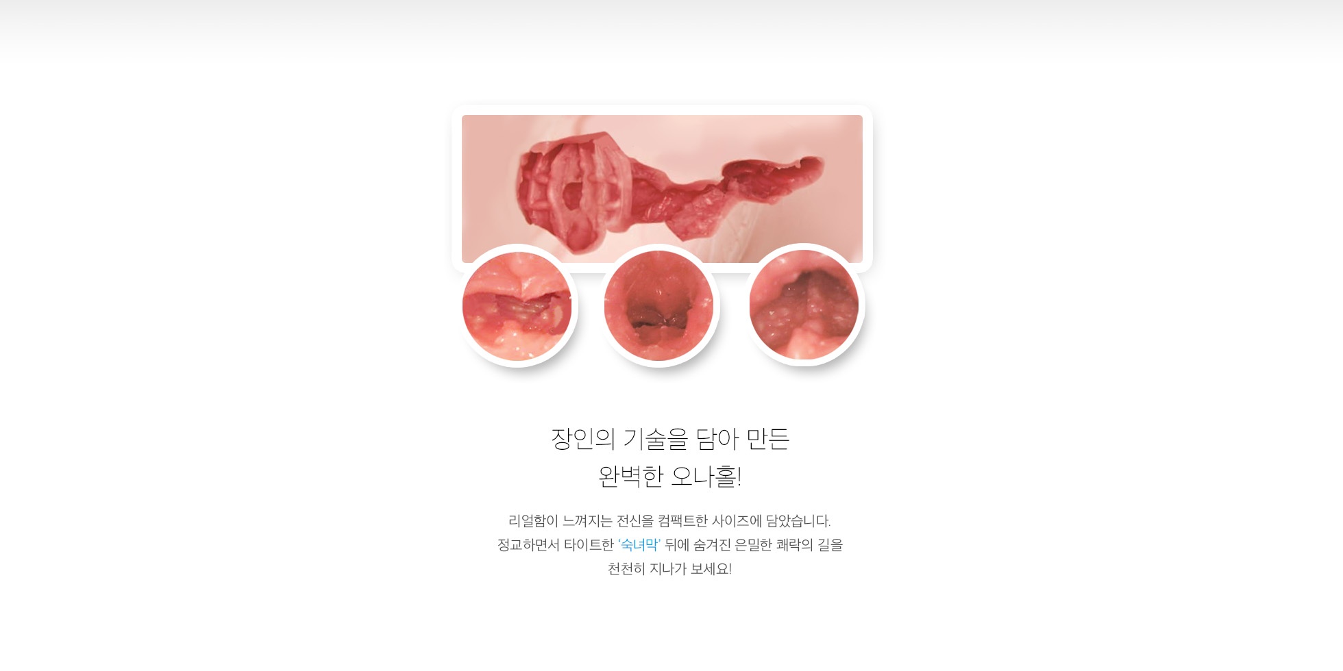 OMOTENASHI 명기 01 히지시마 유이 설명