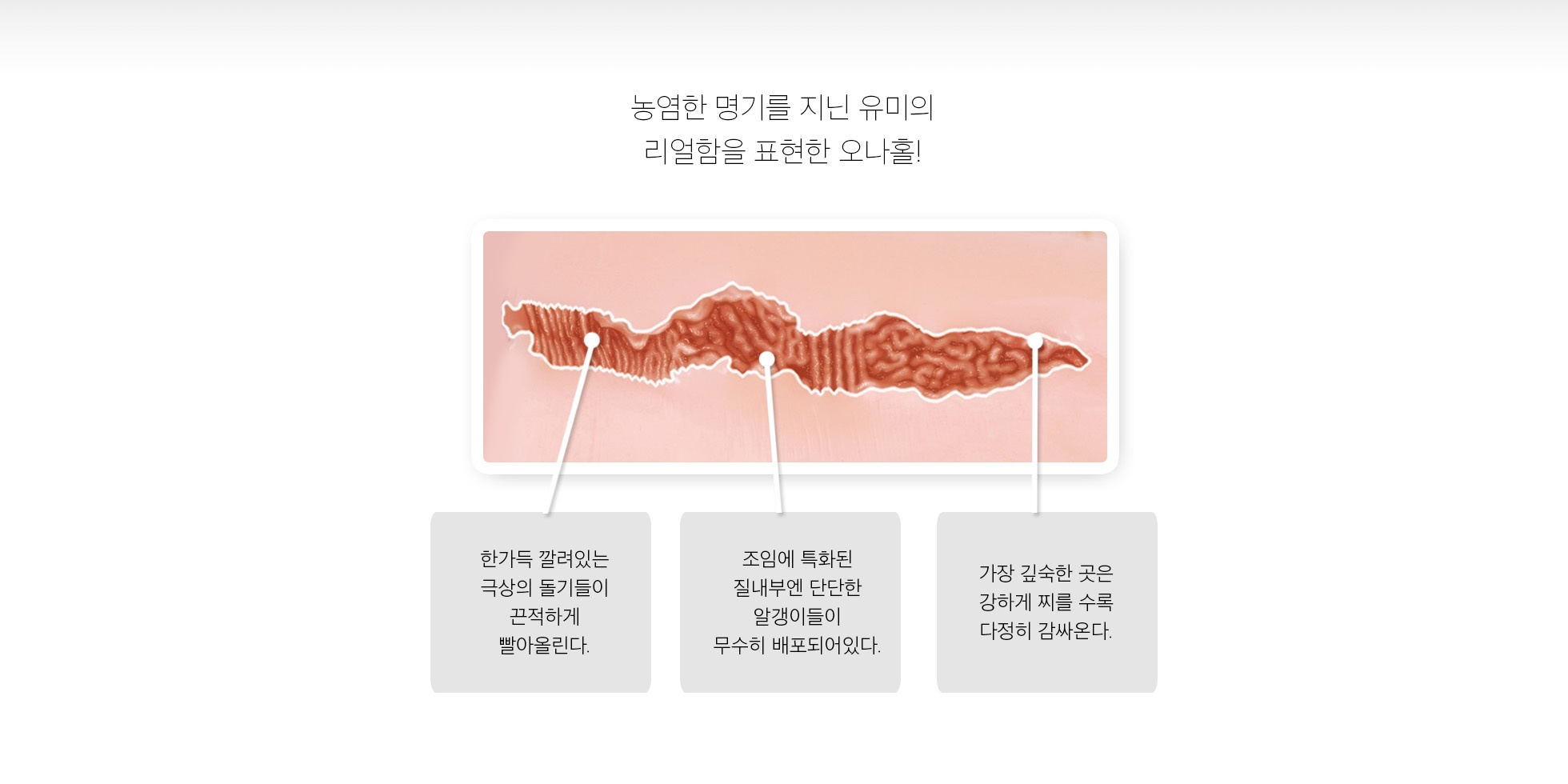 숙녀의별 카자마 유미 설명